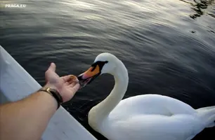 Screenshot_20210514_205027.webp