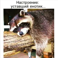 Screenshot_20210514_232145.webp