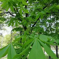 IMG_20210514_094505.webp