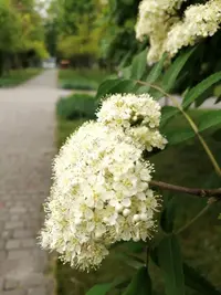 IMG_20210515_135625.webp