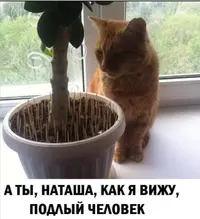 IMG-b0ef88234a0c572114526753dacc01d6-V.webp