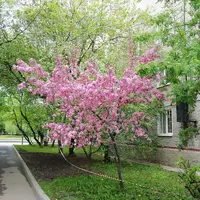 IMG_20210516_121802.webp