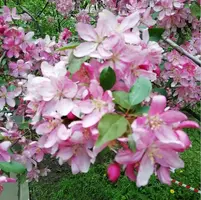 IMG_20210516_121818.webp