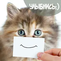 81a7e59c8a605412bd1ae608f33cda82.webp