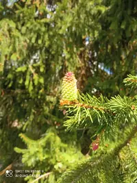 IMG_20210516_153122_compress12.webp