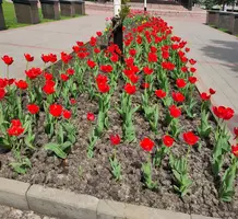 0_IMG20210516123934_1.webp