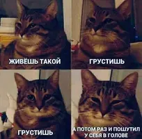 IMG-e3fb795f816d18bc2efc0e7c5d531e4f-V.webp