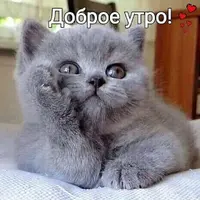 47d1d1047bfe1d63b86141ea0d5988a1.webp