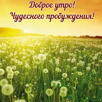 1588073855_utro0146.webp