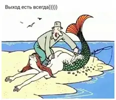 bRrtqQqc3cM.webp