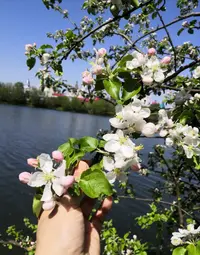 IMG_20210517_121433.webp