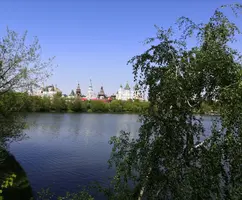 IMG_20210517_121545.webp