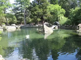 IMG_20210509_162420.webp