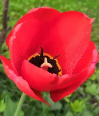 IMG_20210516_165748.webp