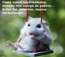 photo_1494850442.webp
