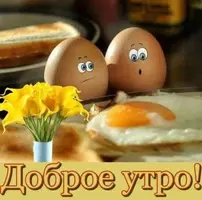 3cea2494e679b09b24c5c600b22f9efe.webp