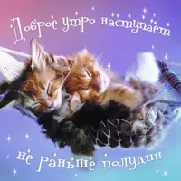 61.webp