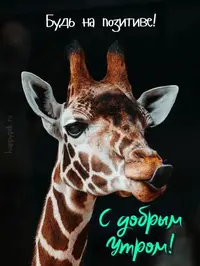 8d3a0e79ffa3bb39e928c4a447c3f870.webp