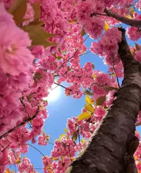 IMG_20210518_085143.webp
