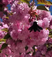 IMG_20210518_085158.webp