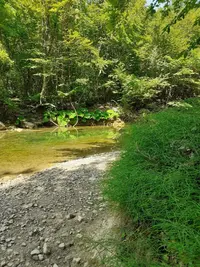 IMG_20210509_160652.webp