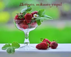 2735407705.webp