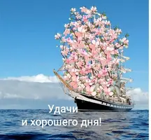 IMG-20210519-WA0001.webp
