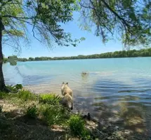 IMG_20210519_085112.webp