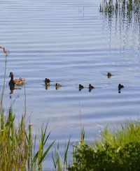 IMG_20210519_084905.webp