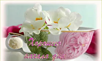 qxOvAI2m1so.webp