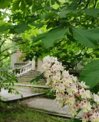 IMG_20210520_135709.webp