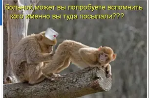 IMG_20210520_152451.webp