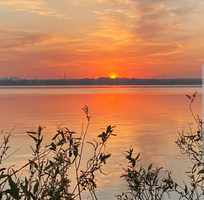 20210520_230339.webp