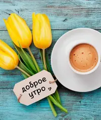 f_ZO4QupM_0.webp