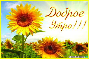доброе-утро.webp