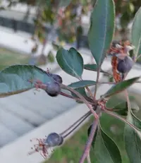 20210519_190605.webp