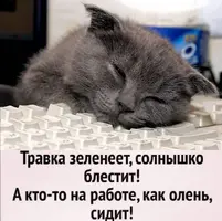 Screenshot_20210520_102429.webp