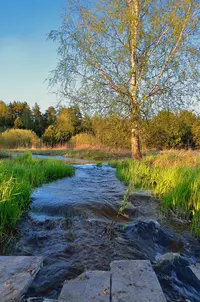 _DSC9511.webp