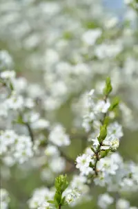 _DSC9561.webp
