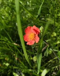 IMG_20210522_125642.webp