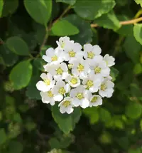 IMG_20210522_131408.webp