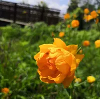 IMG_20210522_131153.webp