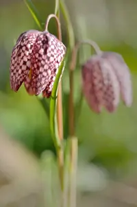 _DSC9539.webp