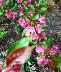 IMG_20210522_173011.webp