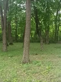 IMG20210522155526.webp