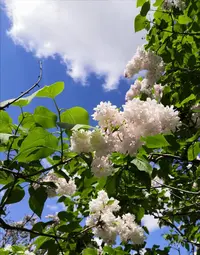 IMG_20210522_234420.webp