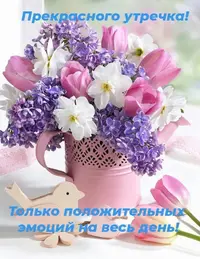 IMG-20210520-WA0003.webp