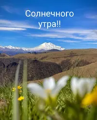 IMG_20210523_082046.webp