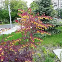 IMG_20210524_115258.webp