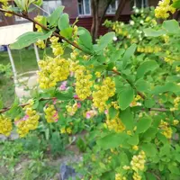 IMG_20210524_193631.webp